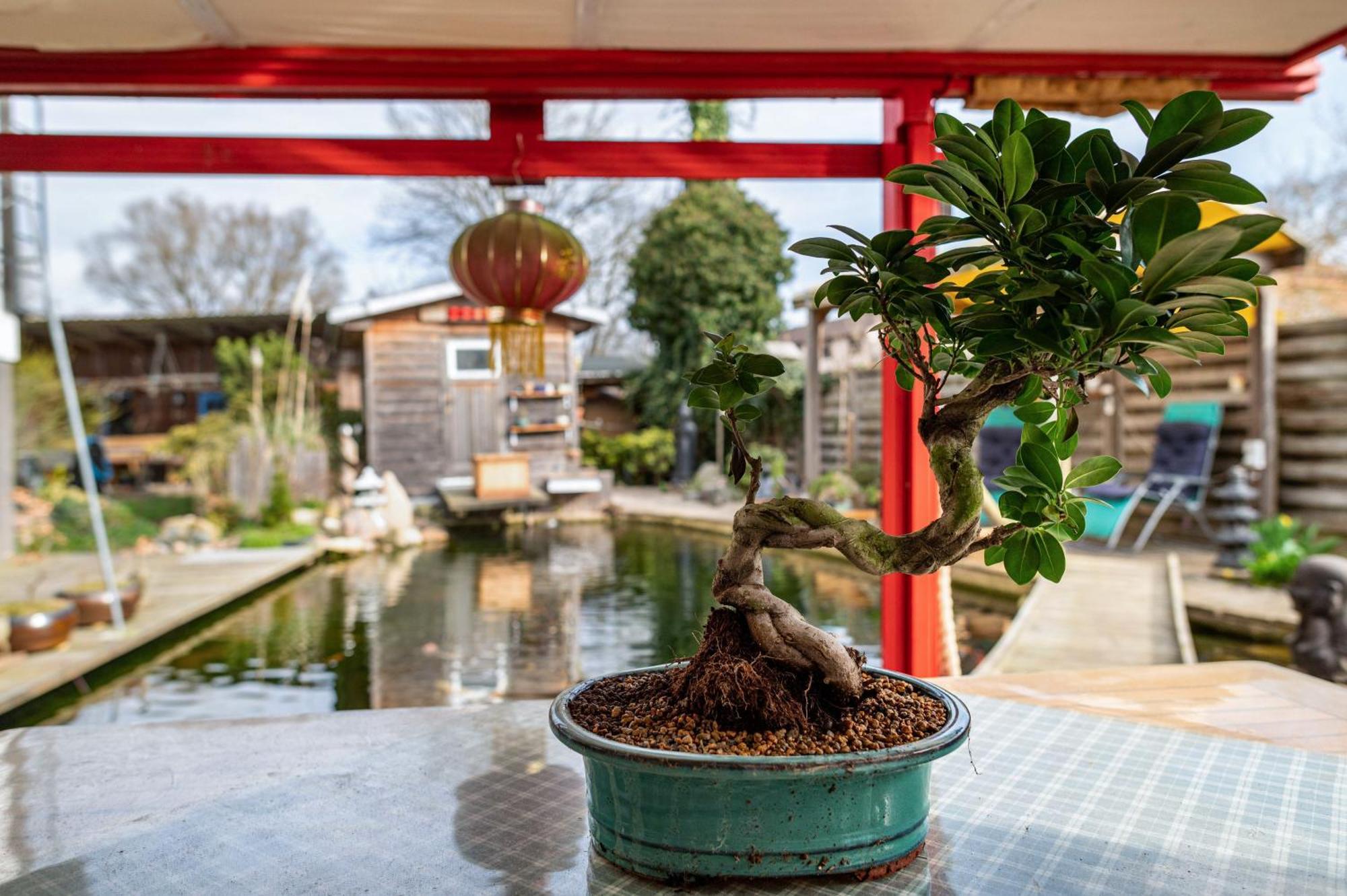 Apartmán Am Teich Bützow Exteriér fotografie