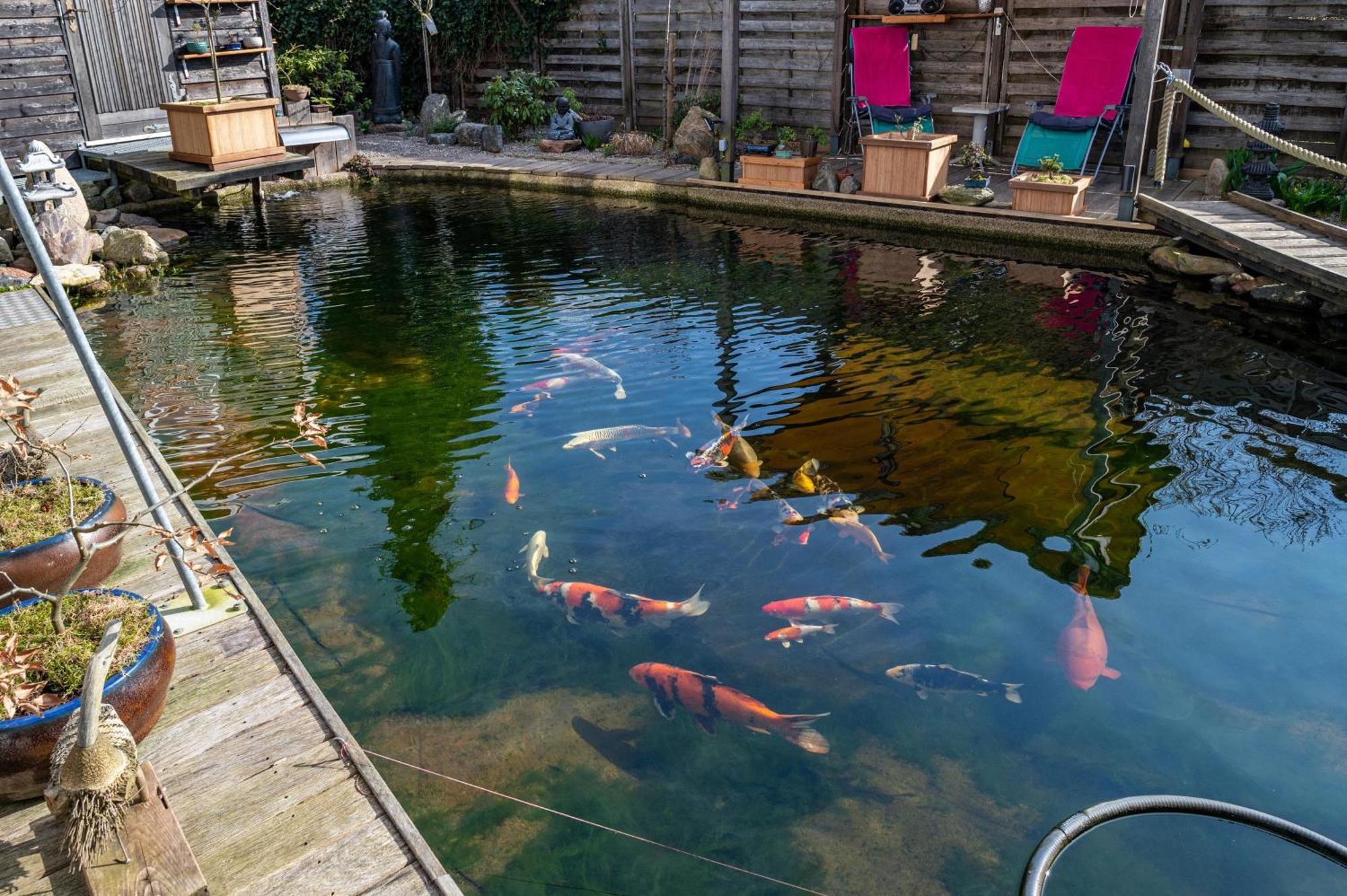 Apartmán Am Teich Bützow Exteriér fotografie